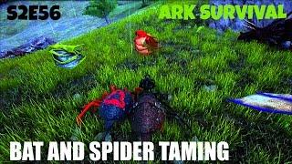 Guide to Taming SPIDERS AND BATS | Tips and Game play | (E56) ARK: Survival Evolved