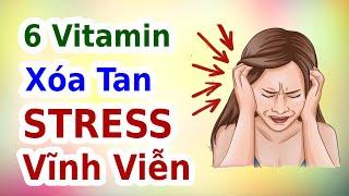 6 VITAMIN Xóa Tan STRESS Vĩnh Viễn | EVA COCO