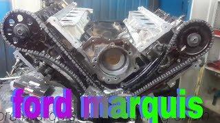 ford marquis engine timing chain