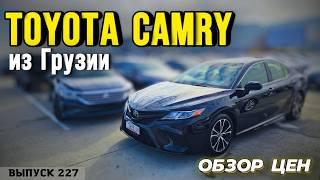 Toyota Camry из Грузии. Обзор цен на Тойота Камри всех модификаций! #mastervadya #automobile #camry