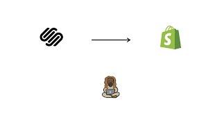 How to Migrate from Squarespace to Shopify with litextension