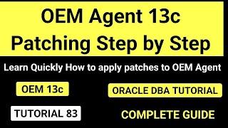 OEM Agent Patching step by step