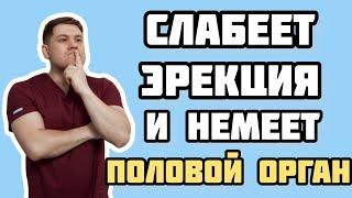 Почему немеет половой орган и куда обратиться