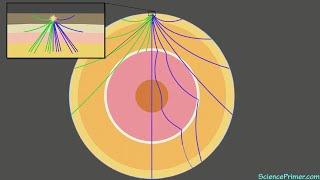 How earthquakes show us the inside of the Earth