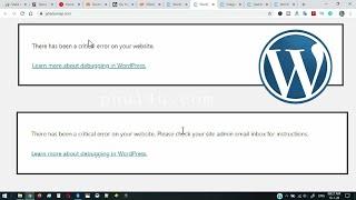 WordPress Error Fixed There has a critical error on your website