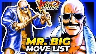 MR. BIG MOVE LIST - Art of Fighting / Ryuuko no Ken (AOF)