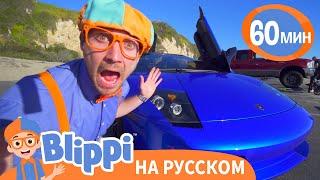 Блиппи изучает СПОРТКАРЫ | Изучай этот мир вместе с Блиппи | Blippi Russian