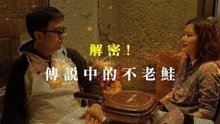 什麼是不老鮭(國王鮭)？