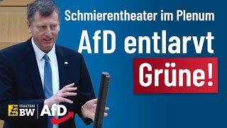 Schmierentheater! AfD entlarvt Grüne - Rüdiger Klos (AfD)