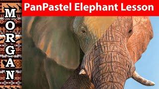 PanPastel Lesson - Wildlife Animal Painting - Jason Morgan