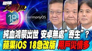 純血鴻蒙出世 安卓無處"寄生"？ 蘋果iOS 18急改版 用戶災情多【#環球大戰線】20240917-P4 葉思敏 介文汲 黎建南 李允中