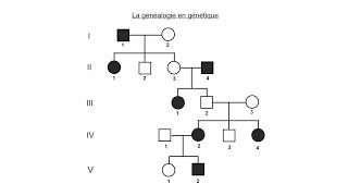 La généalogie en génétique