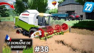 DÉBUT DES MOISSONS DE COLZA ET DES PIERRES À RAMASSER ! Le Domaine de Barrière  #38