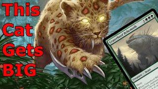 WE'RE HOOF'IN IT!  Scythecat Cub Nadu Elves (Legacy MTG)