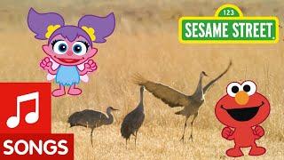 Sesame Street: Dance Like A Crane! | Animal Dance #2