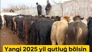 Shahidon mol bozori semiz boqma va yosh buqalar narhlari bilan tanishing 31.12.2024yil