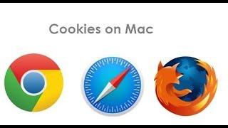 How to Allow Cookies on Mac