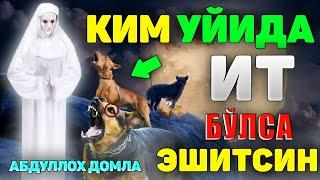 Ит бор уйда нима бўлади?!-Абдуллох Домла-Abdulloh Domla 2023 #abdullohdomla #farishtalar #it #uy