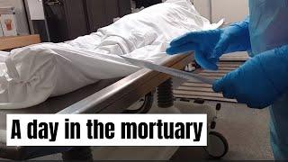 A typical day in the mortuary