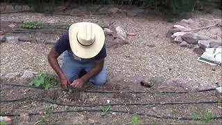 SOIL MOISTURE - Gardening Tips and HOW TO: Super Easy - Determining your Soil Moisture