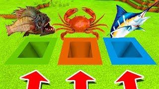 Minecraft PE : DO NOT CHOOSE THE WRONG HOLE! (SwordFish, Piranha & Crab)