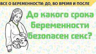 До какого срока беременности безопасен секс. Все о беременности