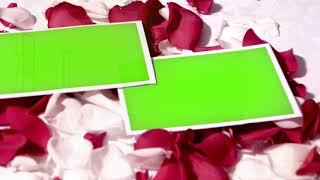 Wedding Slides green screen, template love chroma key casamento, valentines, petals rose