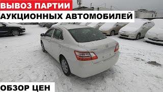 Обзор цен.Аукционные автомобили.ЧТО И ЗА СКОЛЬКО ПОКУПАТЬ?Priority Auto.