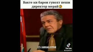 Пириколи точики пулод Алимдор