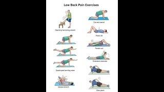 back pain exercises at home pdf