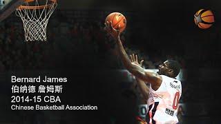 Bernard James China 2014-15 CBA | Full Highlight Video [HD]