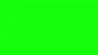 ZA WARUDO Green screen (first main appearence)