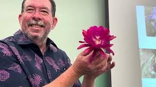 Epiphyllum blooms; Iris Colors and Patterns.