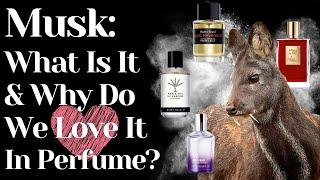 Musk In Perfumes What Is Musk? Notes In Perfume | Why Is Musk So Sexy? Animalic Powdery | White Musk