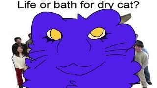 Life or bath for dry cat - gift for @Cosmocilantro - wfour (bfb)