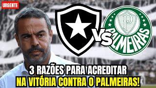 ️  BOTAFOGO X PALMEIRAS | TORCIDA FAZ FESTA HISTÓRICA E ABRAÇA O TIME ANTES DAS FINAIS