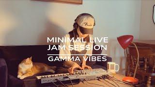 Gamma Vibes - Minimal Live Jam