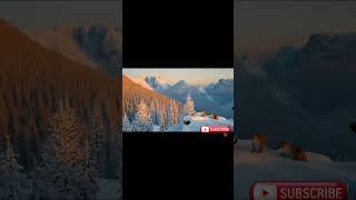 Serene Winter Wilderness with Majestic Wildlife in a Snowy Mountain Landscape"