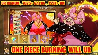 One Piece Burning Will Private Server - Free UR BigMom , x200 Ticket Gacha UR, 155K+ DM , 7025 Gacha