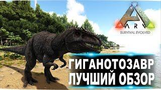 Гиганотозавр giganotosaurus  в АРК  Лучший обзор приручение, разведение и способности  в ark