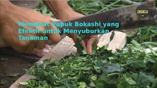 Cara Membuat Pupuk Kompos/Bokashi dari Bahan Organik Sekitar Rumah