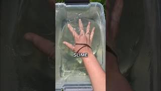 Testing VIRAL SLIME Recipes WITHOUT GLUE and ACTIVATOR!  DIY how to make slime tutorial