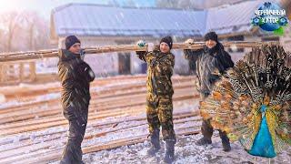 Жизнь людей и животных. Все планы реализованы, дом украшен и теперь можно встречать новый год.