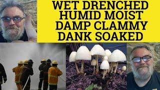 Clammy Meaning - Drenched Examples - Dank Explained- Wet Damp Moist Humid Soaked Defined- Wet Words