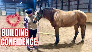 Preparing My Auction Horse For A Ride! Update on Dodger’s Training