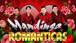 LOS MANDINGO EXITOS ROMANTICOSEXITOS SUS MEJORES CANCIONES DE MANDINGO