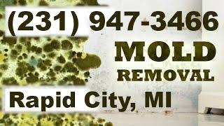 Mold Removal Rapid City MI (231) 947-3466 | Mold Remediation Rapid City Michigan