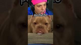 Peido pesa? #puckzito