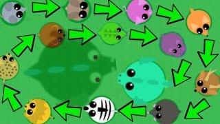 Mope.io NOOB to PRO GUIDE! EASILY GET TO DRAGON / FINAL ANIMAL TUTORIAL(Mopeio Gameplay) *2 Million*