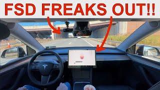 Tesla FSD FREAKS OUT!! | Full Self Driving